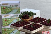 择日黄历高速赋能产业升级：一条“杨梅路”的致富密码